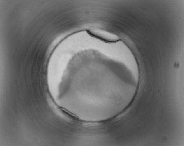 X0000115171200200911251327