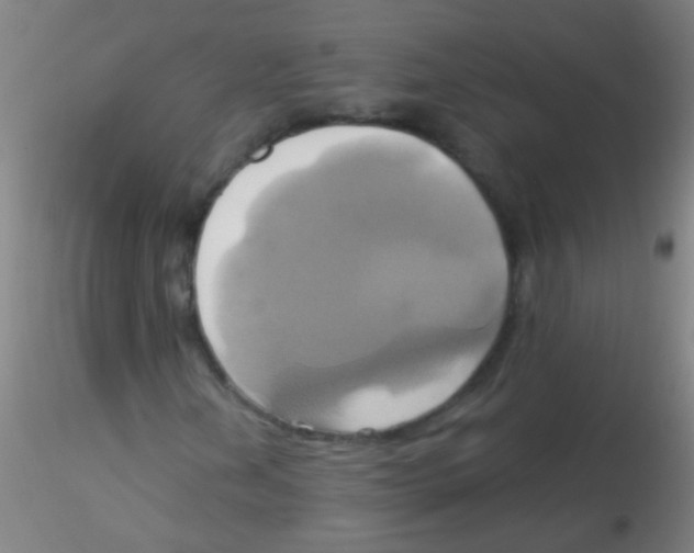 X0000115171202200911251326