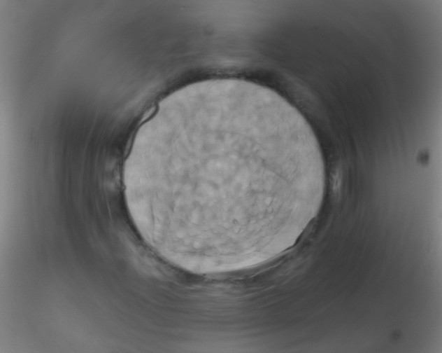 X0000115171204200911251326