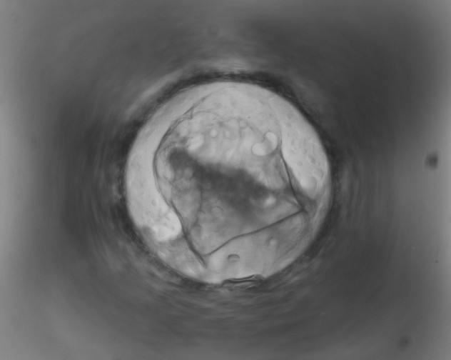 X0000115171205200911251326