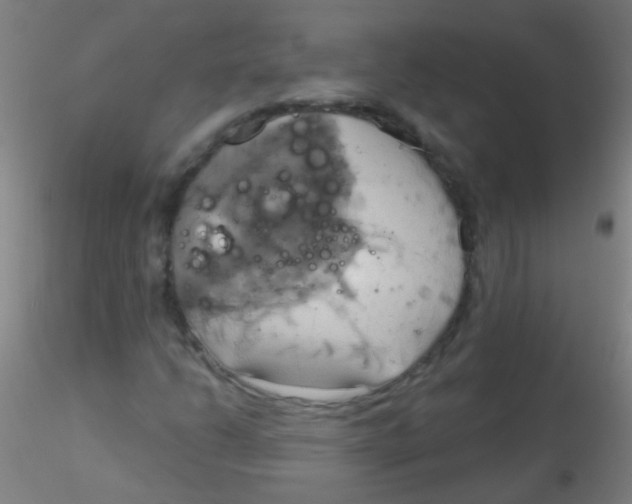 X0000115171206200911251326