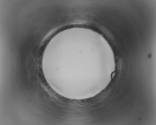 X0000115171208200911251326