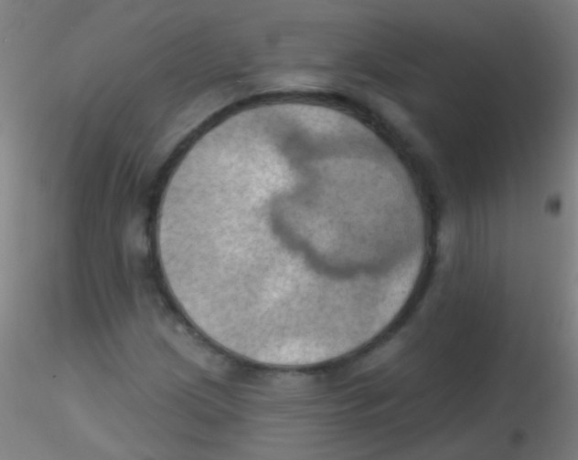 X0000115171209200911251326