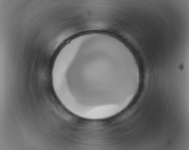 X0000115171210200911251326