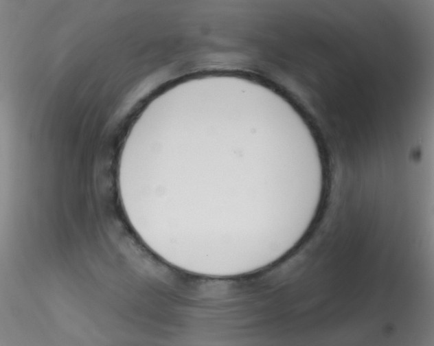 X0000115171211200911251326