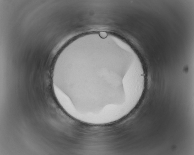 X0000115171212200911251326