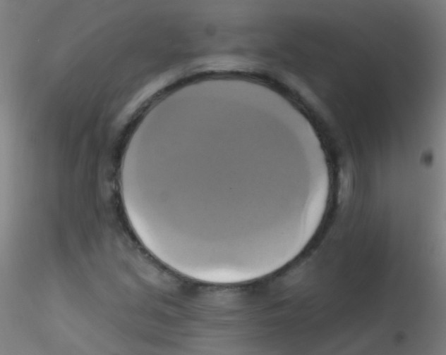 X0000115171213200911251326