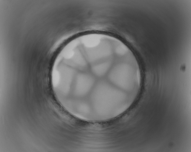 X0000115171214200911251326