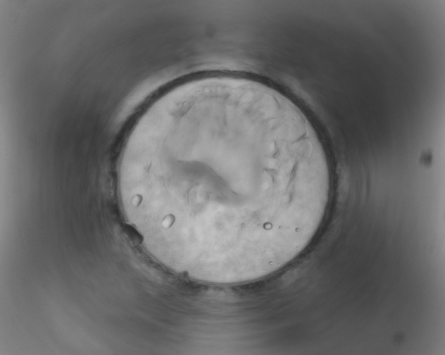 X0000115171215200911251326