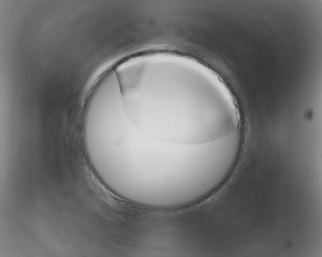 X0000115171216200911251326