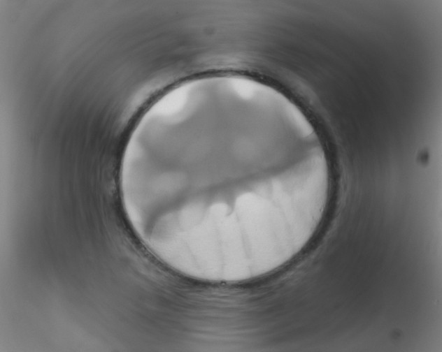 X0000115171218200911251326