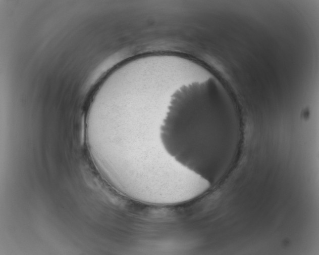 X0000115171219200911251326