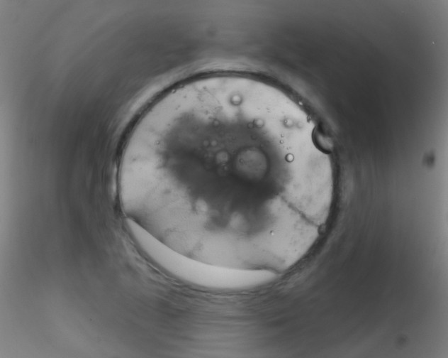 X0000115171221200911251326