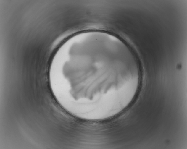 X0000115171222200911251326