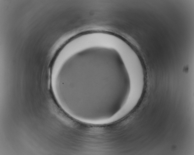 X0000115171223200911251326