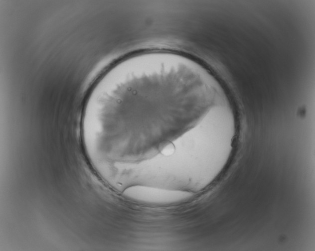 X0000115171224200911251326