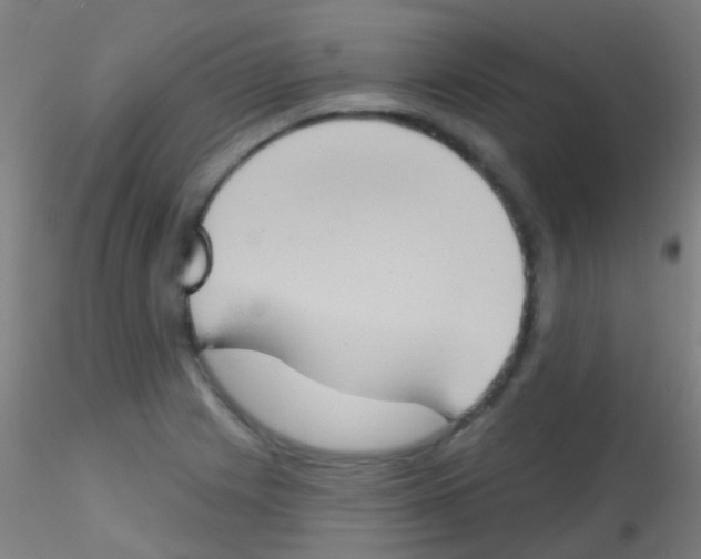 X0000115171225200911251326