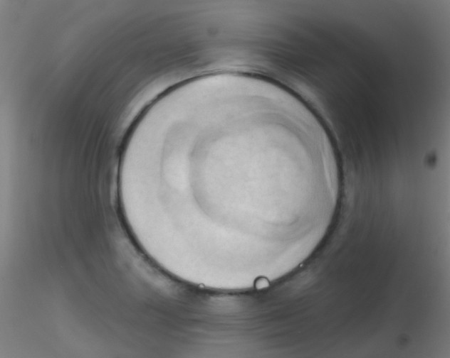 X0000115171227200911251326