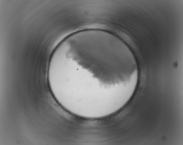 X0000115171228200911251326