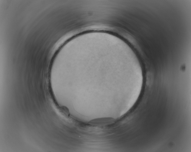 X0000115171229200911251326