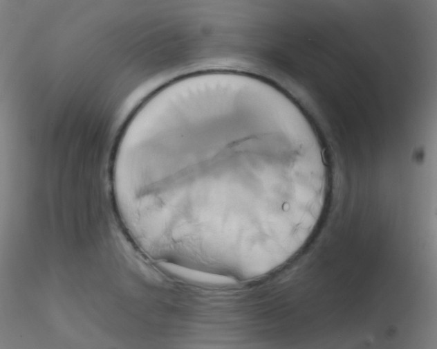 X0000115171230200911251326