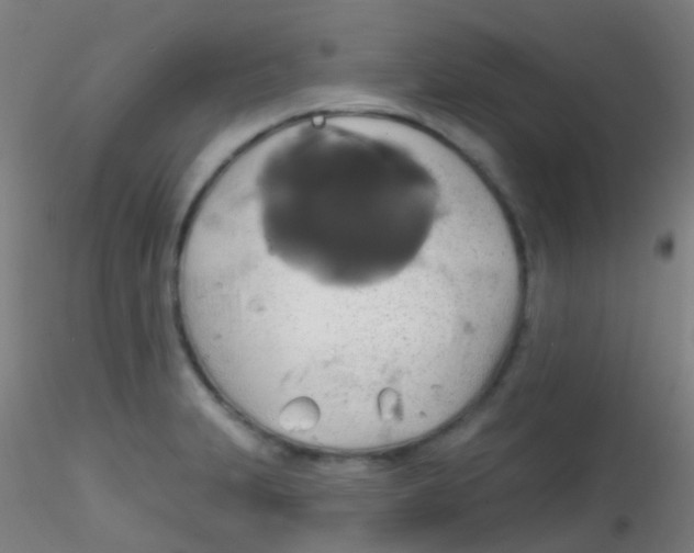 X0000115171231200911251326