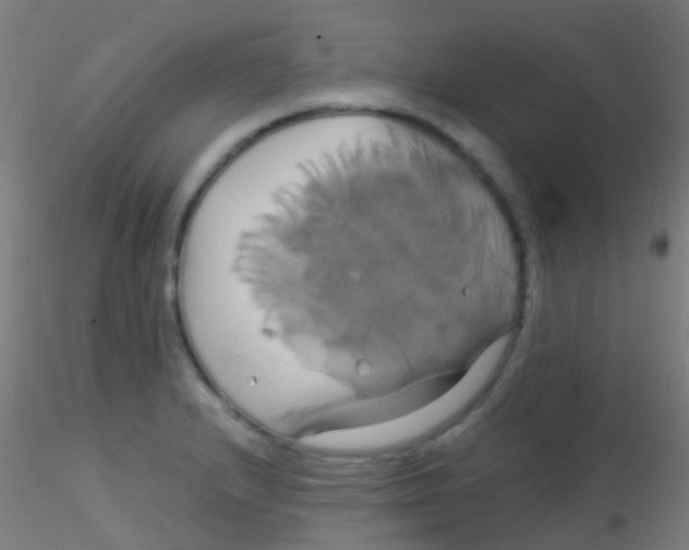 X0000115171232200911251326