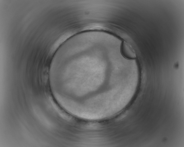 X0000115171233200911251326