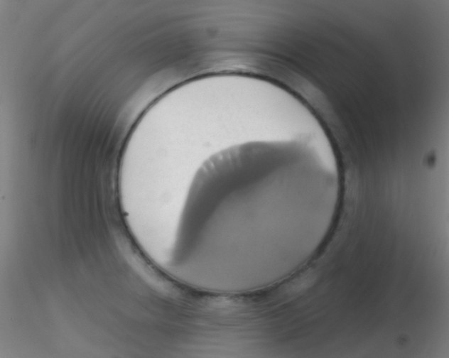 X0000115171234200911251326