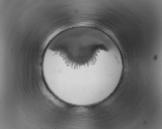 X0000115171235200911251326