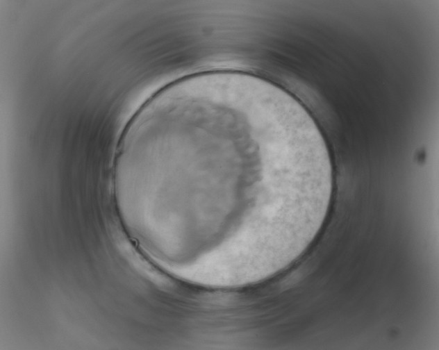 X0000115171236200911251326