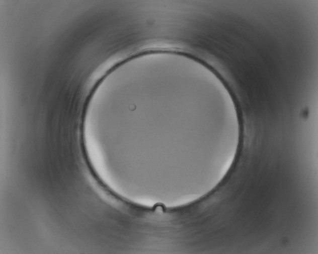 X0000115171237200911251326