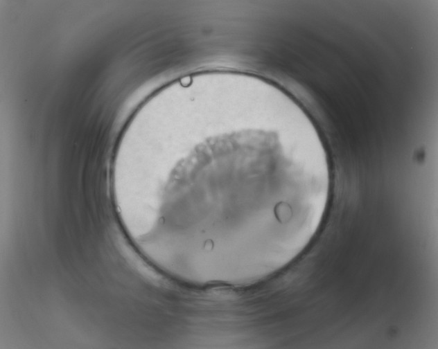 X0000115171238200911251326