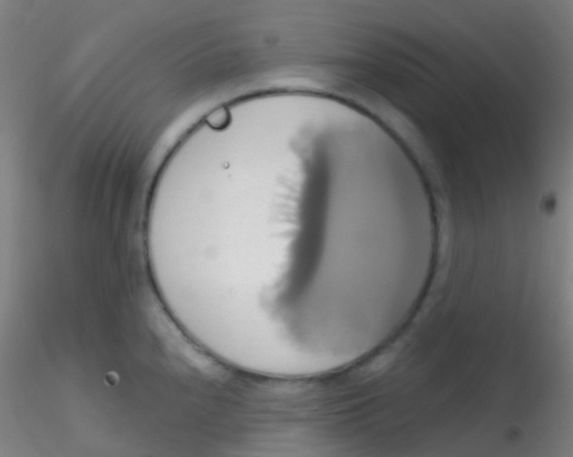 X0000115171240200911251326