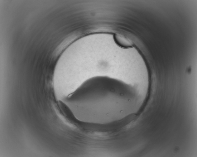 X0000115171241200911251326