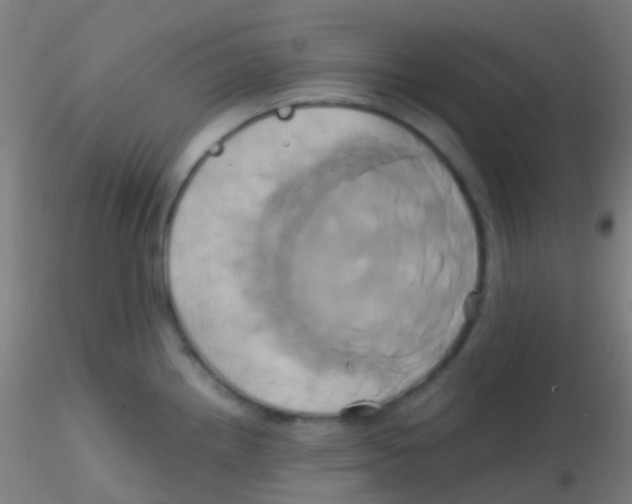 X0000115171242200911251326