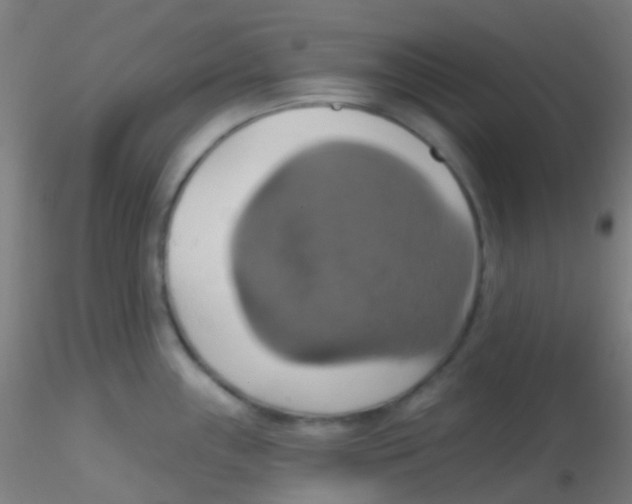 X0000115171243200911251326