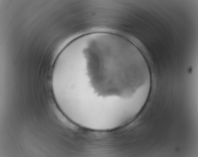 X0000115171244200911251326