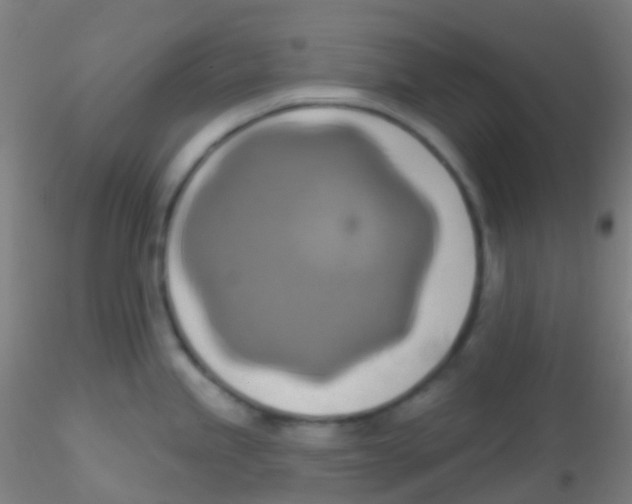 X0000115171245200911251326