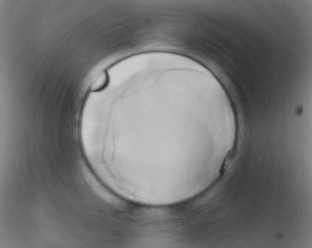 X0000115171246200911251327