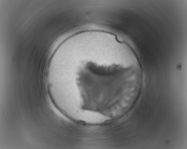 X0000115171247200911251327