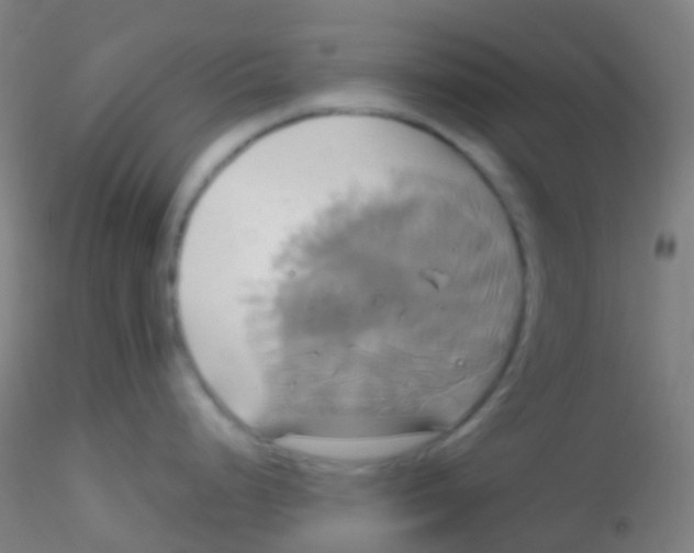 X0000115171248200911251327