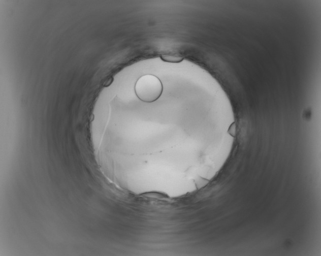 X0000115171249200911251326