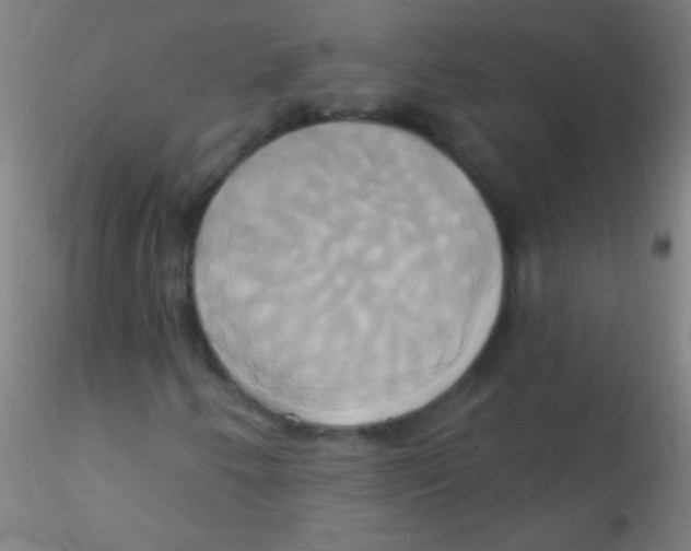 X0000115171250200911251326