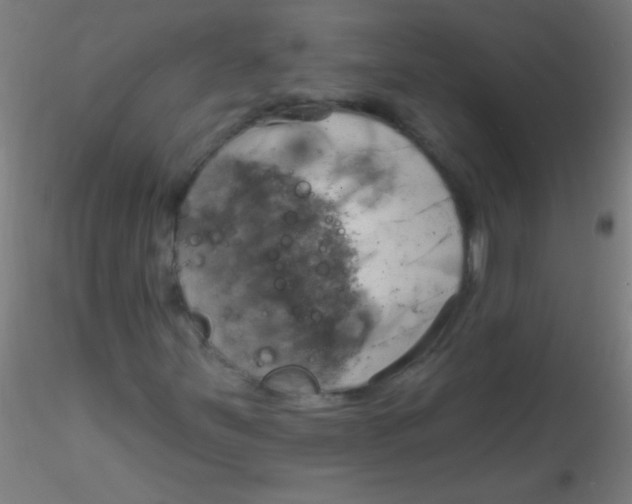 X0000115171251200911251326