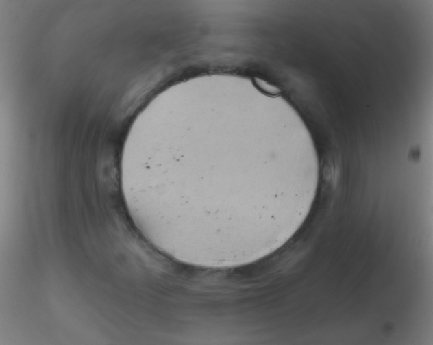 X0000115171252200911251326