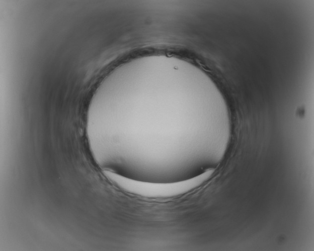 X0000115171253200911251326