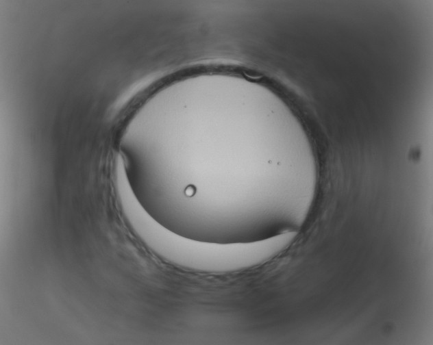 X0000115171255200911251326