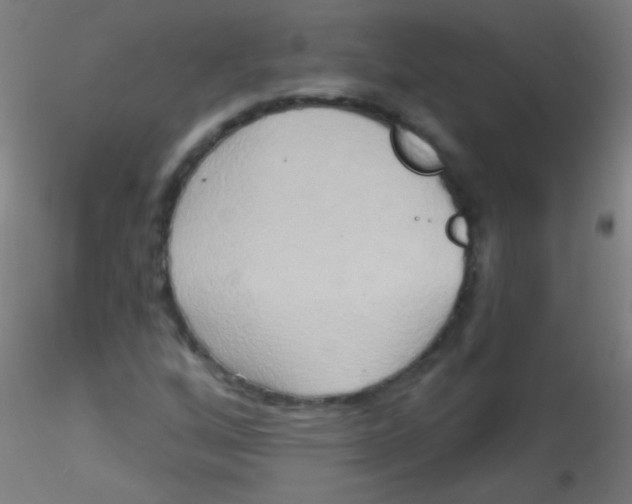 X0000115171256200911251326