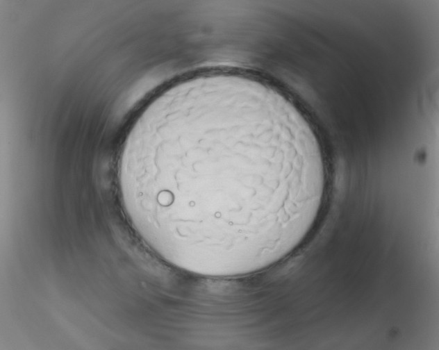 X0000115171258200911251326